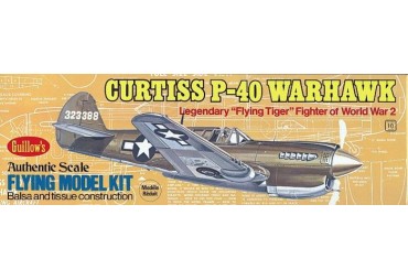 Curtiss P-40 Warhawk (419mm) (4SH0501)