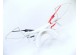 HD Dron HORNET extrémní výkon, 400 m dosah a doba letu 15 minut